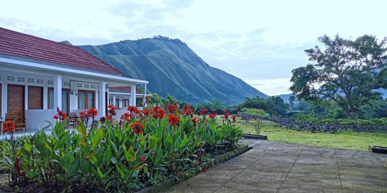 Rinjani Hill Hotel Сембалун Лаванг Екстер'єр фото